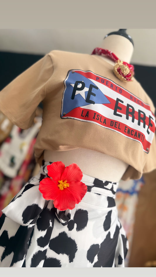 Pe Erre 🌺  Tshirt  🇵🇷